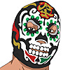 Wrestling Video Games
