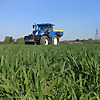 Farming In 1080P
