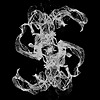 Giant Neural Network