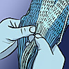 The Weaving Illustrator