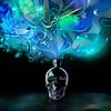 Crystal Head Vodka