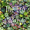 The Eco Lifestyle