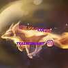 Silvafox22