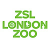  Zoological Society of London | Youtube