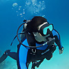 Underwater Amira Dive Videos
