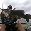 John's Fish Tales