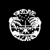 Skydive Deland Videographers