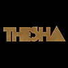 Thesha WebSeries