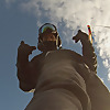Fly-guy Alberta