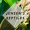 Jensen's Reptiles