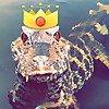Gatorpool Gators