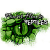 Power House Reptiles