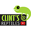 Clint's Reptiles