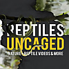 Reptiles Uncaged