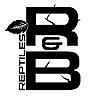 R&B Reptiles