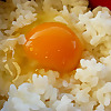 Tokyo Kitchen