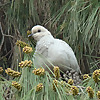 Wild Nature & Veterinary