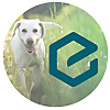 Ethos Veterinary Health