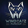 WINDCATZ Parkour and Freerunning