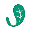 Jade Leaf Matcha Blog