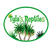 Tyla's Reptiles