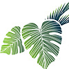 Costa Rica School of Massage Therapy