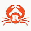 New Rustacean – learning the Rust programming language