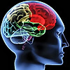 Department of Neurology