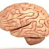 AKU Neurology Conference
