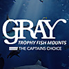 Gray Trophy Fish Mounts