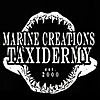 Mike Kroessig | Marine Wild-Life Recreations