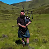 The Berry Toon Piper