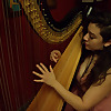The Mainstream Harpist