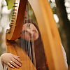 Let's Play Lever harp