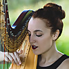 Harp Soup