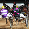 Harness Racing SA
