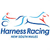 HRNSW