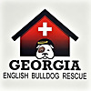 Georgia English Bulldog Rescue