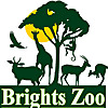 Brights Zoo