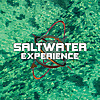 Saltwater Experience