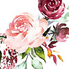 Books in Bloom | A YA Book Blog