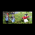 Jemima Fawr's Miniature Wargames Blog