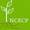 NC Early Childhood Foundation