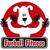 Furball Fitness | Dog Walking and Pet Care Blog