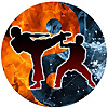 Martial Arts Review