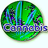 CannabisWorld.biz