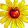 Permaculture Women's Guild