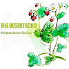 The Desert Echo Blog