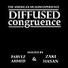Diffused Congruence | The American Muslim Experience