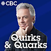 Quirks and Quarks 
